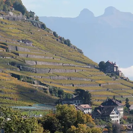 Lavaux Cully