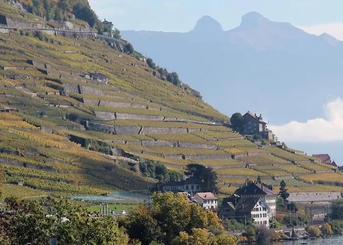 Lavaux Cully