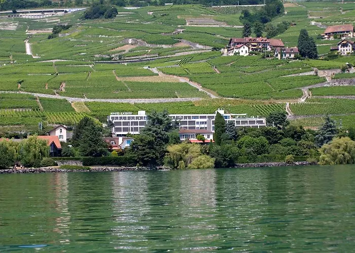 Lavaux Hotell Cully